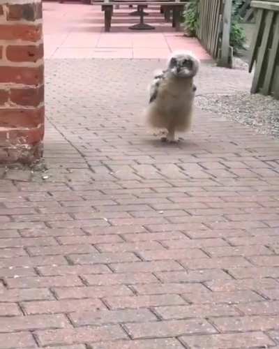 &ldquo;Wanna see how high I can jump? Pretty cool, huh?