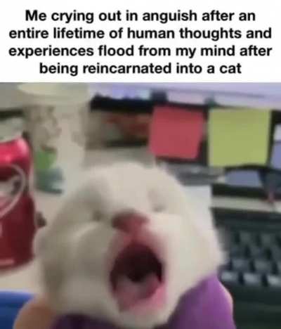 not again&hellip;
