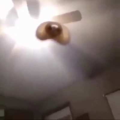 Ā