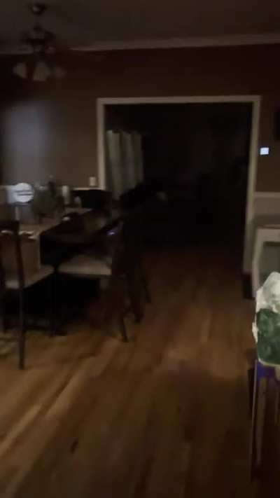 My brother walking downstairs to his dog, who isn&rsquo;t allowed on the couch