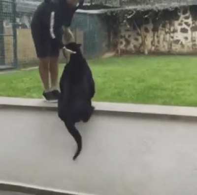 Maybe maybe maybe