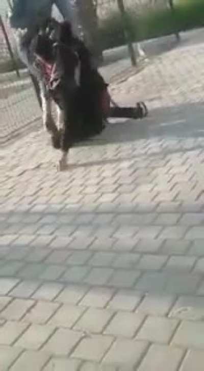 Он шо ябанутый