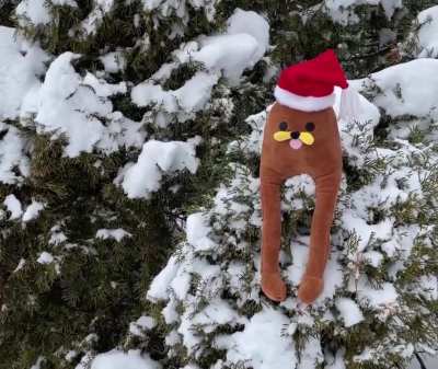 Christmas Gondola is Here