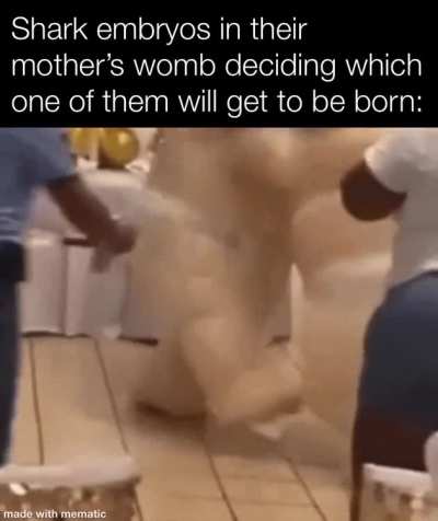 Nature is metal