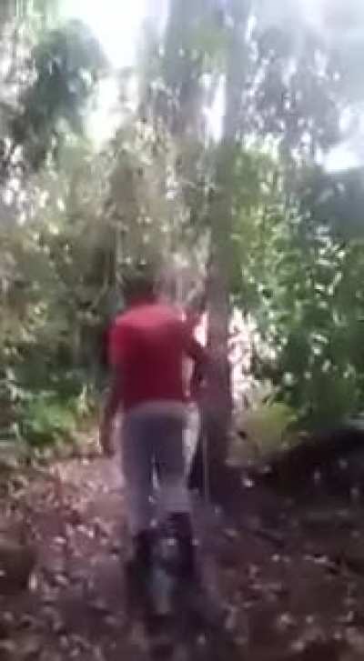 Ca&ccedil;ando uma on&ccedil;a