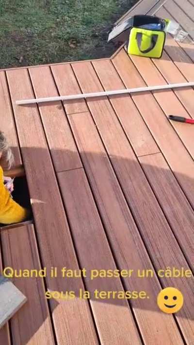 Cable Cat