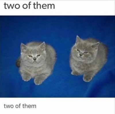 Two of them