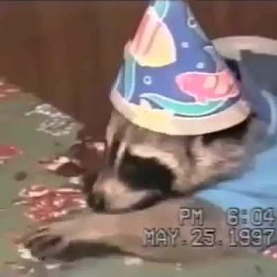 Happy birthday