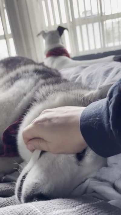 Derpy snuggles