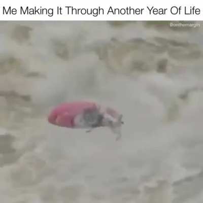 It&rsquo;s The Journey