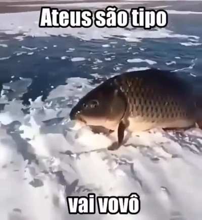 Vov&ocirc; t&aacute; evoluindo😳