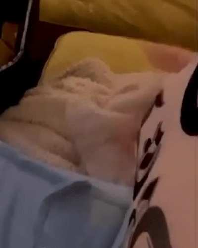 Billie Eilish’s tits are so hot 🤤