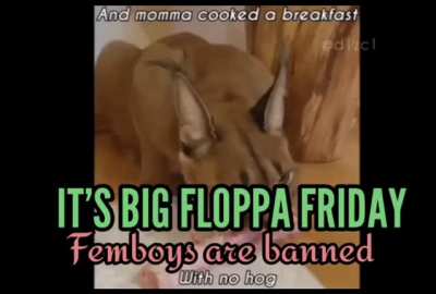 Big Floppa
