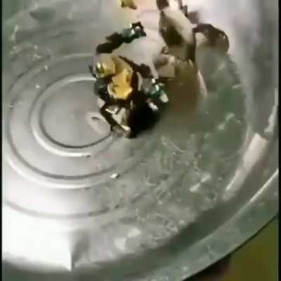 Pity the crabless