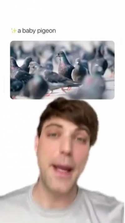 Double Homicide