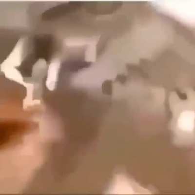 !1!!!1!!1