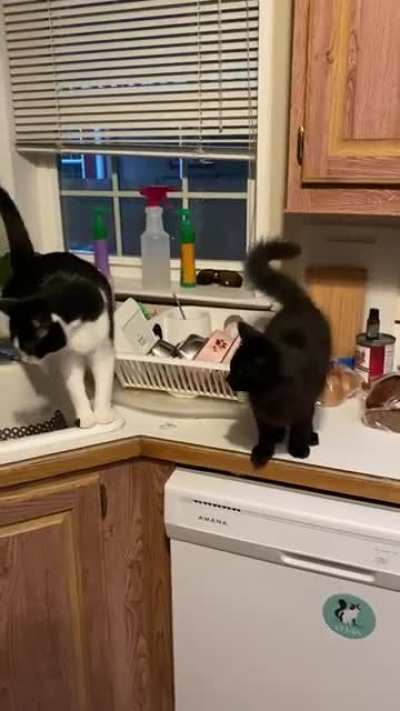 Poor starving baby