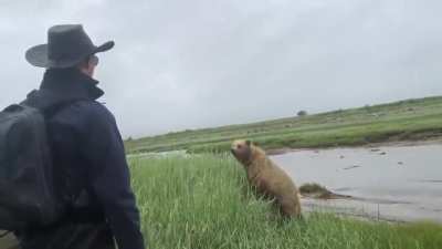 Real Grizzly Bear Charge Handled Live.Bear:I just want to talk to you about your cars extended warranty.