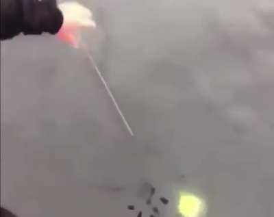 Rarest catch ever caught on video, they finally got him!