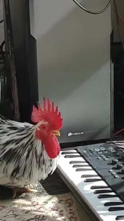 More talented than I am