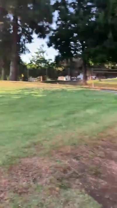 A Hole In One