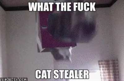 oh no