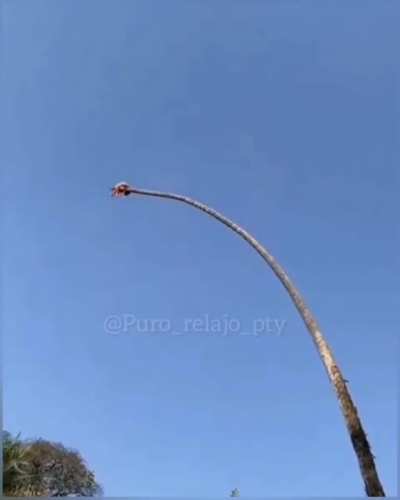 En la segunda parte conocio a San Pedro 😎