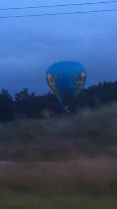 It&rsquo;s the best day of life ITS A FRICKIN SHREK BALLON... sry bout the quality tho!