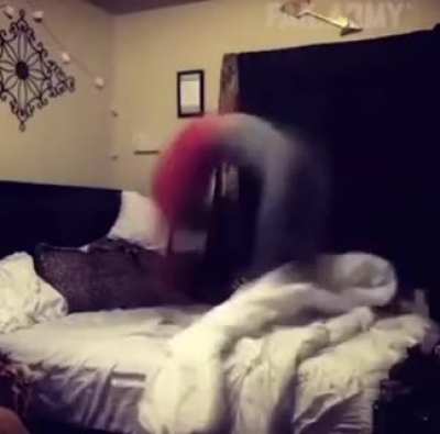 not 1... not 2, but 3 backflips!!!