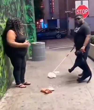 They had to put the dog down 😔😔