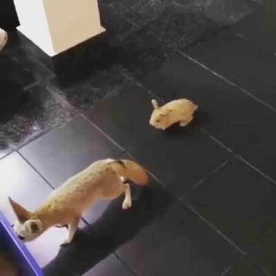 Don&rsquo;t sneak up on me like that!