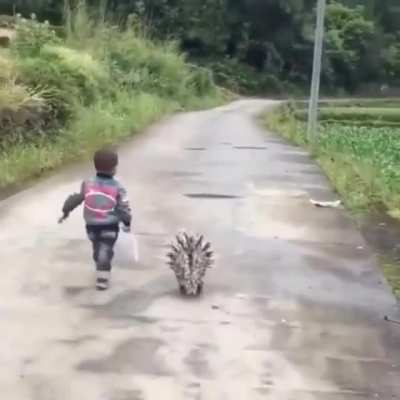 Uh, kid? Your cat looks a little... tense