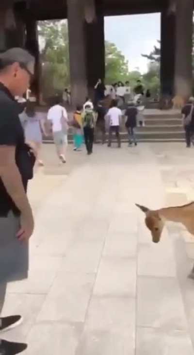 um viado reconhece o outro n&eacute;
