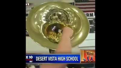 News reporter drops microphone in tuba