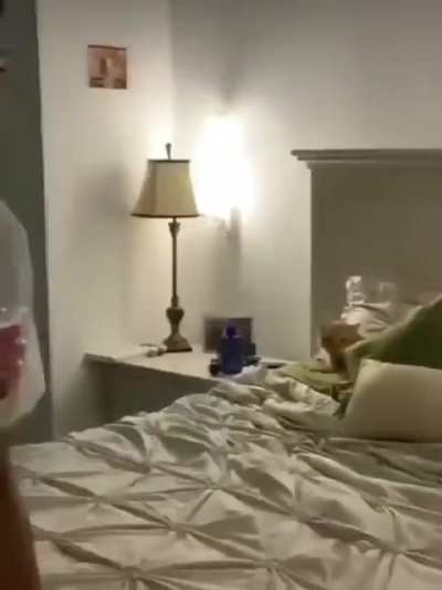 Dis my bed hooman