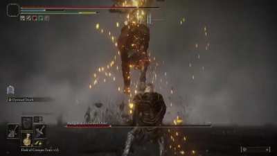All this just to get in 1 hit , anyone else have this type of problem in elden? 😬