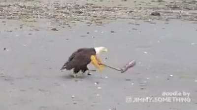 The land of the free!