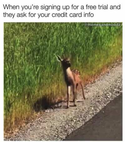 aand I&rsquo;m out