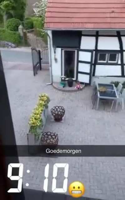 Goeiemeeergeh