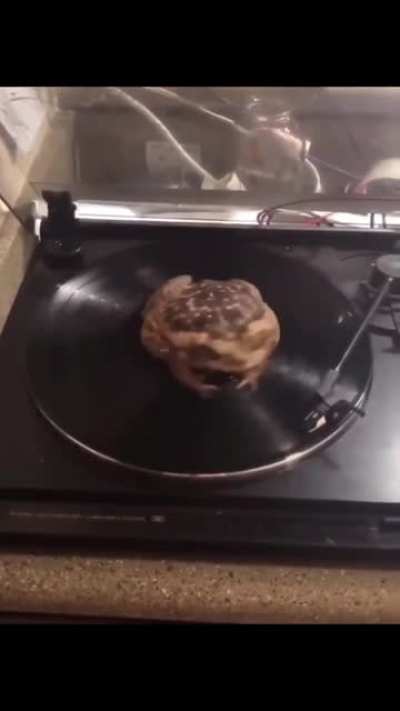 Phr&ouml;g has transcended humanity