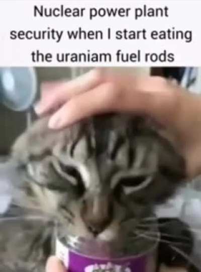 Plant Security isn&rsquo;t letting us eat the spent fuel rods 😔