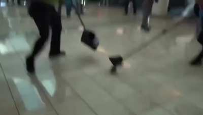 Rat
