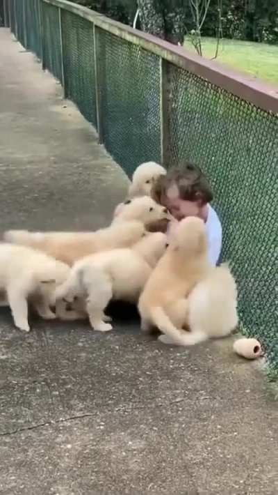 so cute!!!!