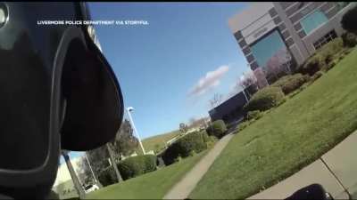 Turkey stops cop giving a guy a ticket