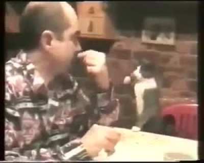 The cat of this deaf man discovered that meowing was pointless and instead learned sign language to communicate with him.