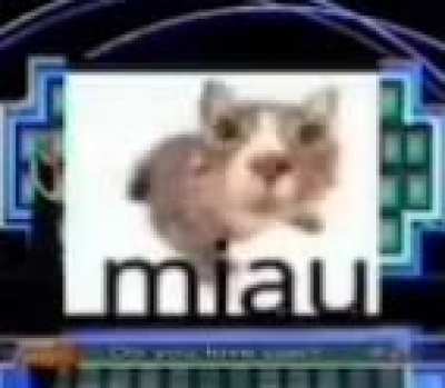 moldy game show