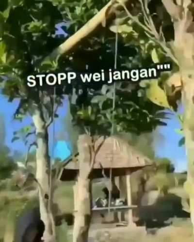 He swings!