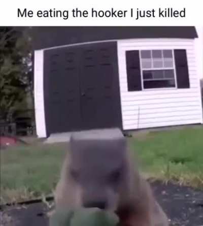 🦗