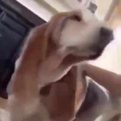 UuuUuuUuUUuU