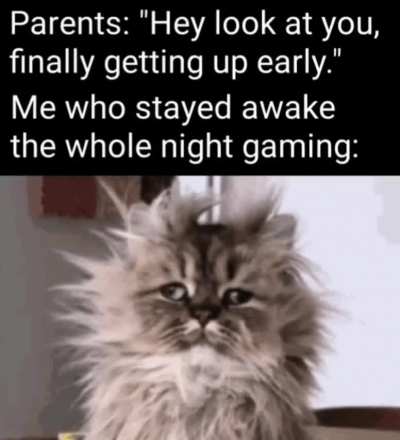 What? Morning?